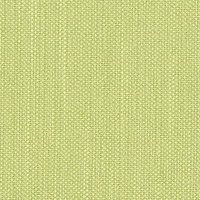 Pistachio